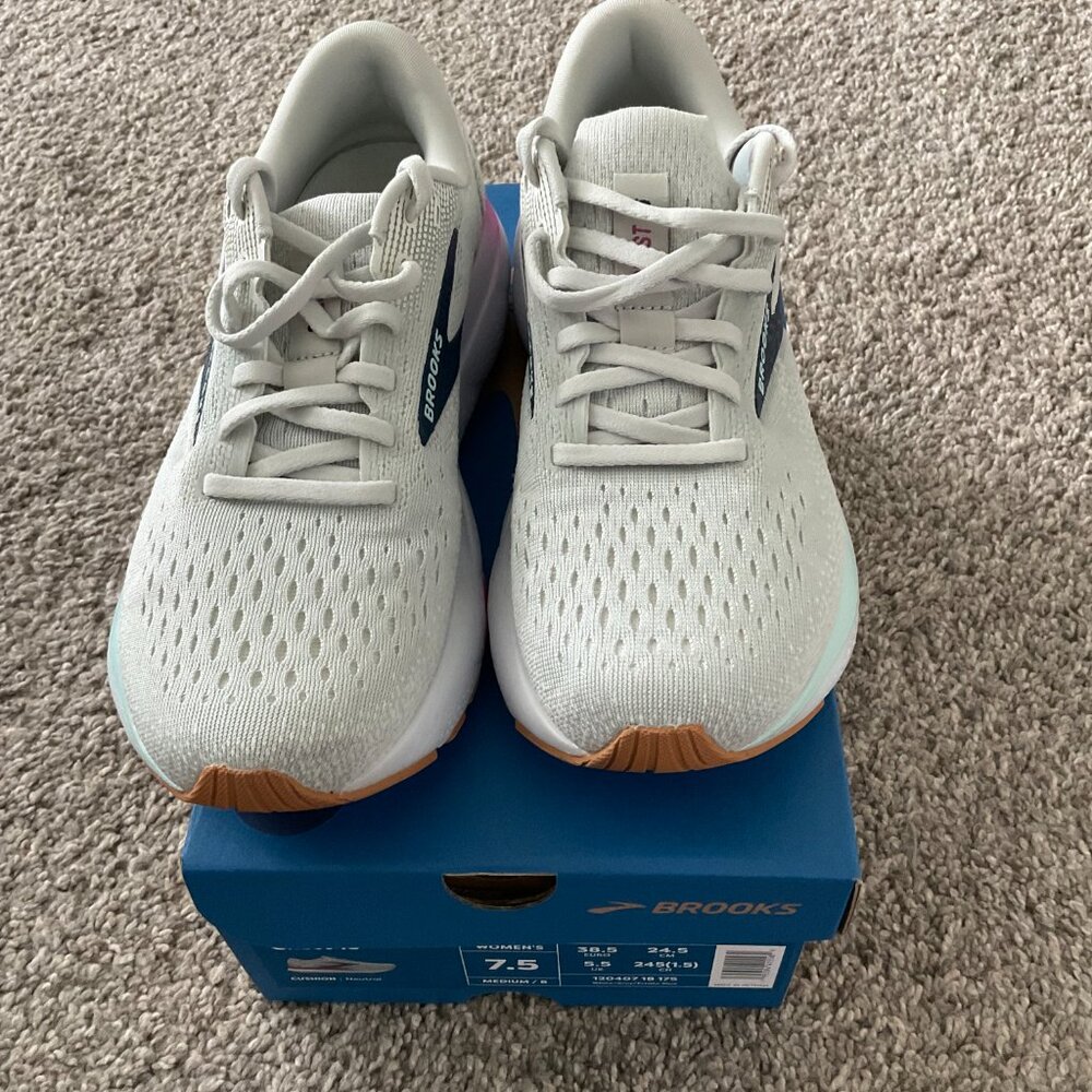 Brooks I Ghost 16